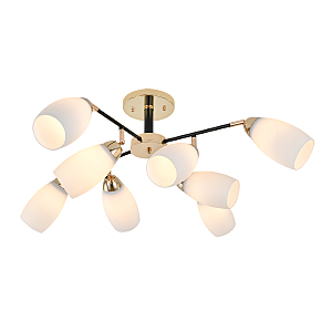 Потолочная люстра Aucuba 643/8P