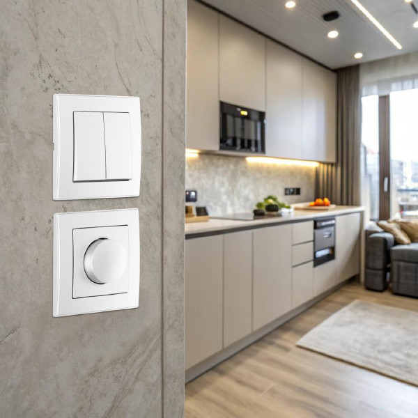 Диммер Set06-1 SET06-1-48-1 silver