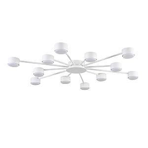 Потолочная люстра Torina 8343/12C