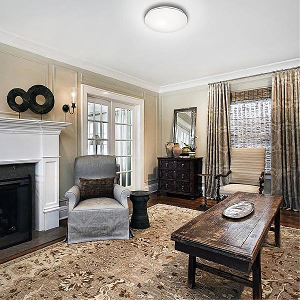 Настенно потолочный светильник Leka 2051/DLN