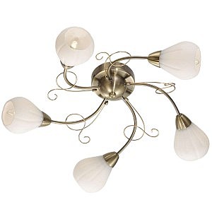 Потолочная люстра Dovera 2470/5C