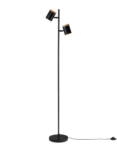 Торшер Asheswood V11287-2F