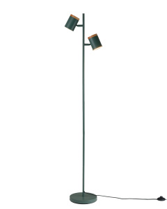 Торшер Asheswood V11290-2F