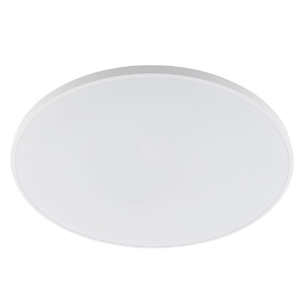 Уличный потолочный светильник Agnes Round Led Pro 10981