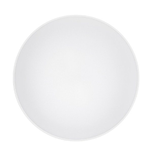 Уличный потолочный светильник Agnes Round Led Pro 10981