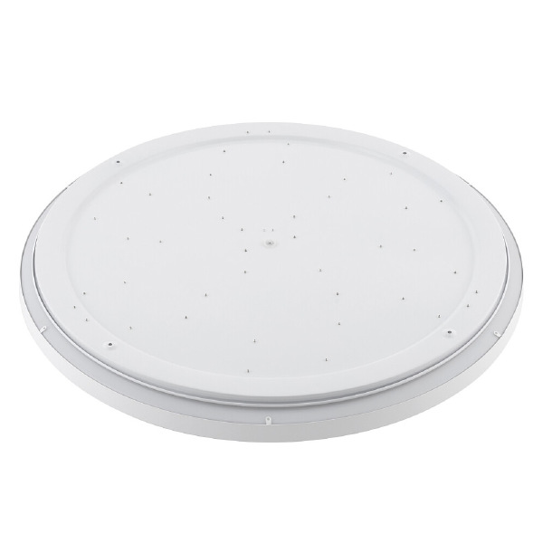 Уличный потолочный светильник Agnes Round Led Pro 10981