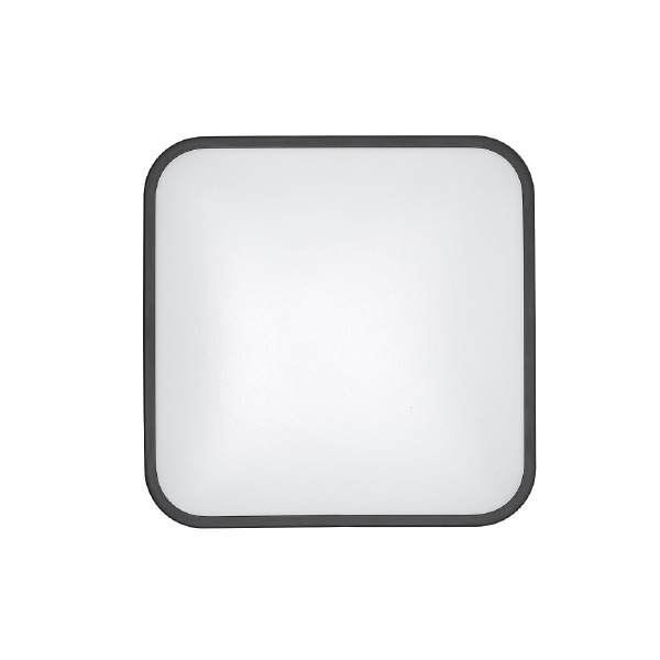 Уличный потолочный светильник Agnes Square Led Pro 10984