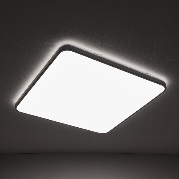 Уличный потолочный светильник Agnes Square Led Pro 10994