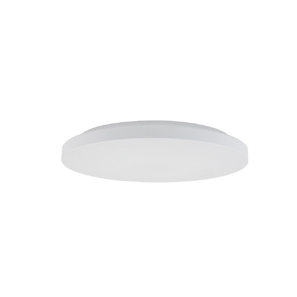 Светильник потолочный Denia LED S 11760