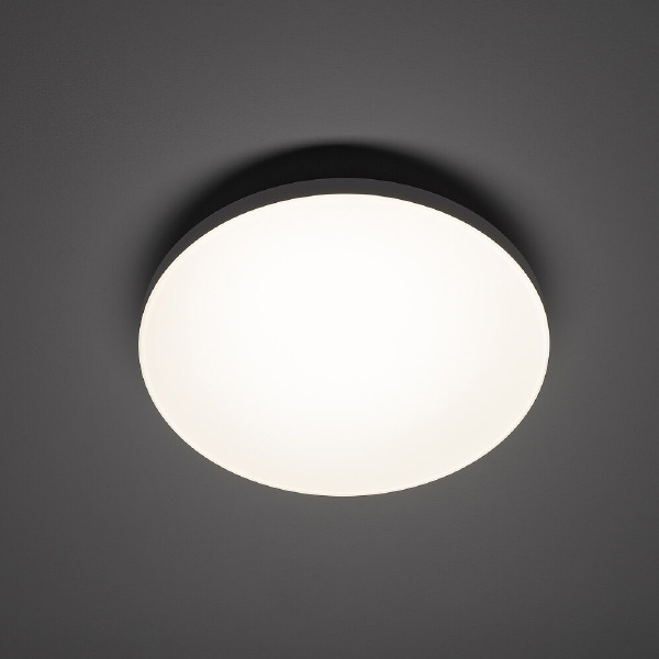 Светильник потолочный Denia LED S 11754