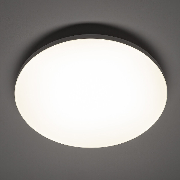 Светильник потолочный Denia LED M 11757