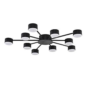 Потолочная люстра Torina 8344/10С