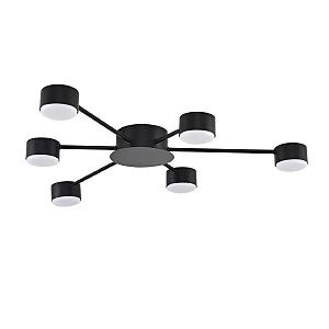 Потолочная люстра Torina 8344/6С