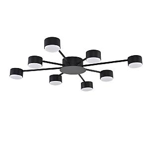 Потолочная люстра Torina 8344/8С