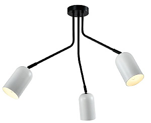 Потолочная люстра Rosalinda 3167-303