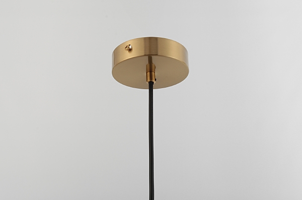 Светильник подвесной Erika 6137-401