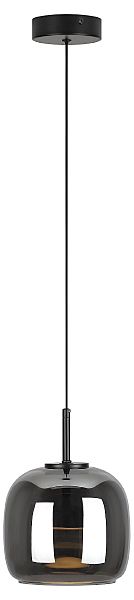 Светильник подвесной Dora 6163-201