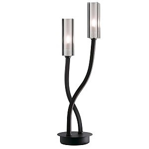 Настольная лампа Odeon Light  MODEN 2010/2T