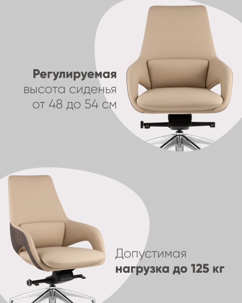 Кресло офисное Reign A666-A 2006-11