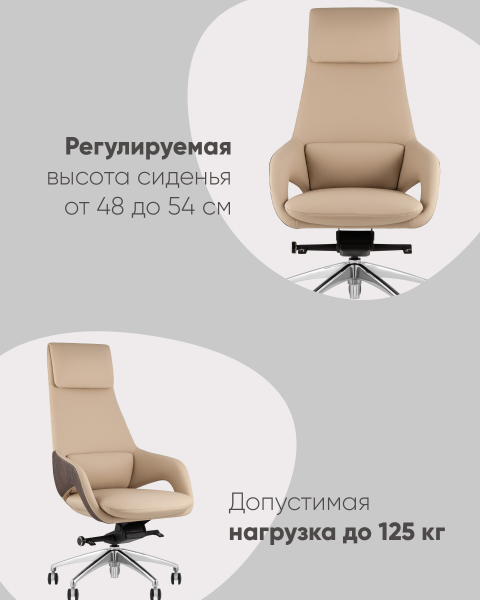 Кресло офисное Reign A666 2006-11