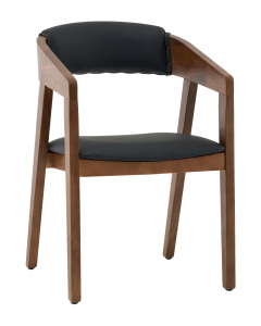Обеденный стул Stool Group AL 101-woodcarry-S-ecoblack