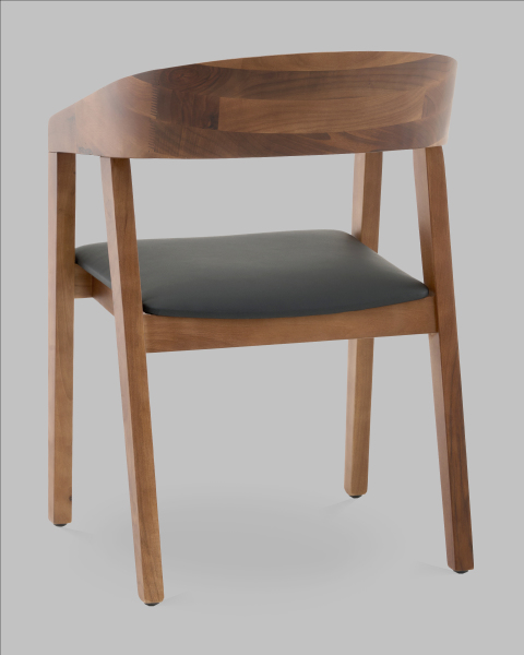 Обеденный стул Stool Group AL 101-woodcarry-ecoblack