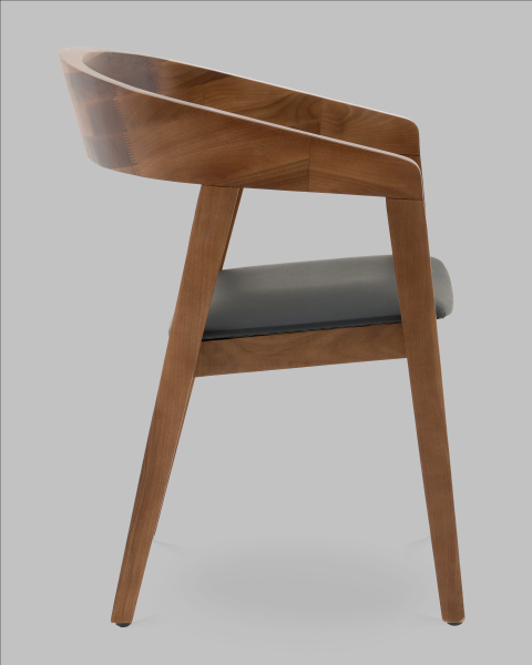 Обеденный стул Stool Group AL 101-woodcarry-ecoblack