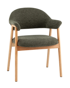 Обеденный стул Stool Group DM4774 OTE-S-355 GREEN