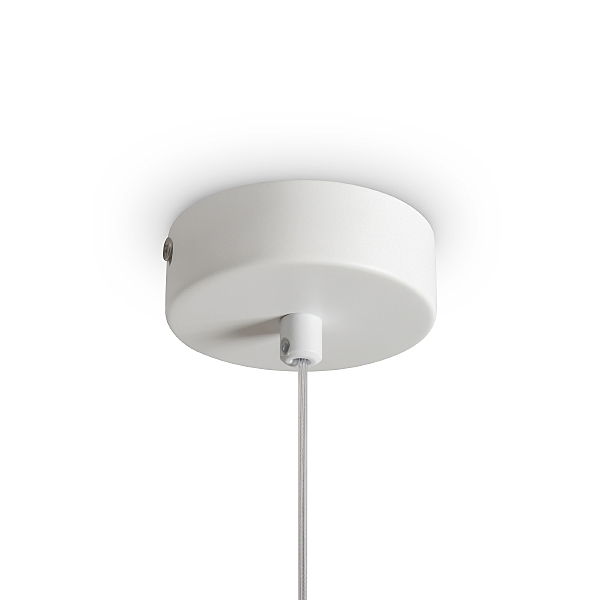 Светильник подвесной Pietre FR5592PL-01BS