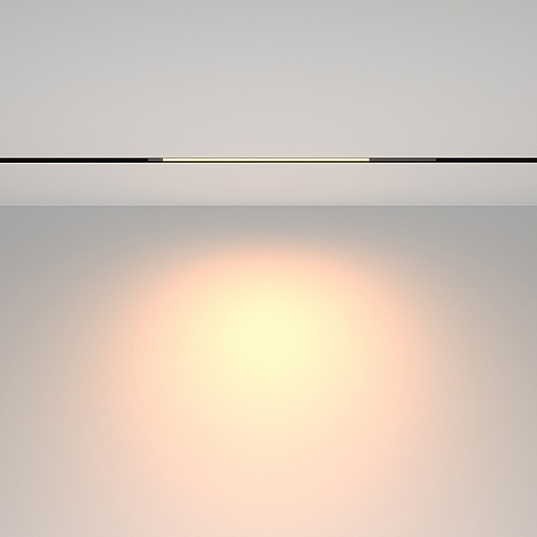 Трековый светильник Basis TR231-2-10W3K-B