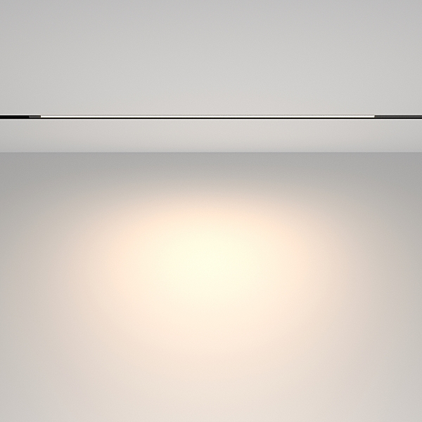 Трековый светильник Basis TR231-2-15W4K-B