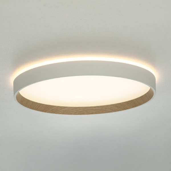 Светильник потолочный Etalon CL750320R