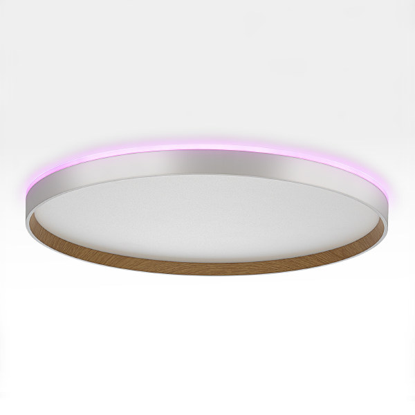 Светильник потолочный Etalon CL750500R