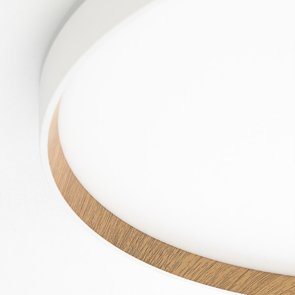 Светильник потолочный Etalon CL750500R