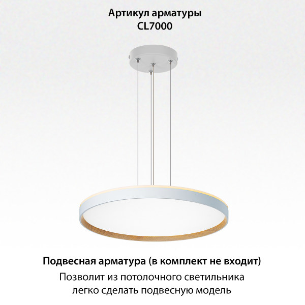 Светильник потолочный Etalon CL750500R