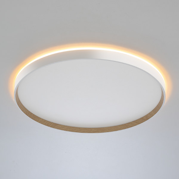 Светильник потолочный Etalon CL750500R