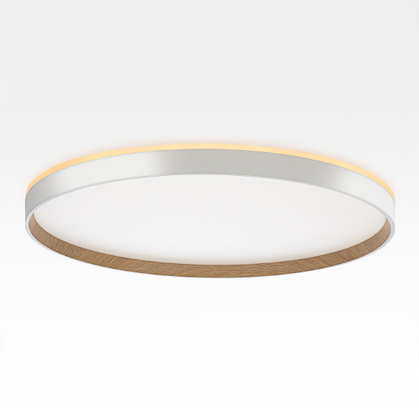 Светильник потолочный Etalon CL750500R