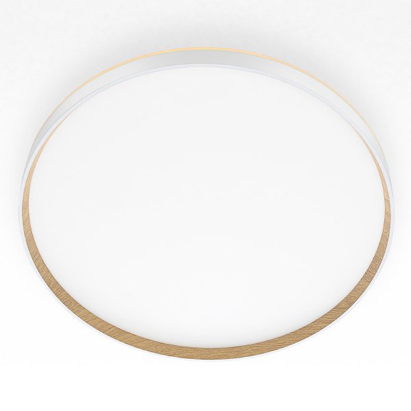 Светильник потолочный Etalon CL750500R