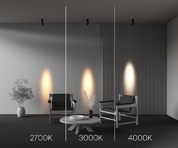 Светильник спот Focus LED C055CL-L12W2.7K-SS-B