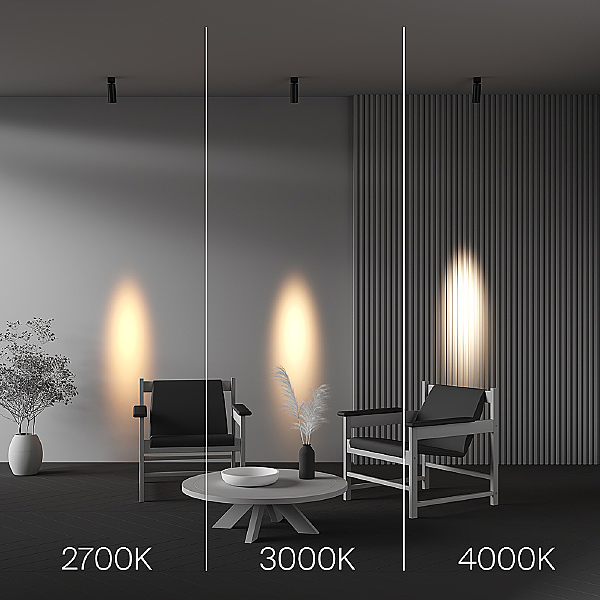 Светильник спот Focus LED C055CL-L12W2.7K-SS-B