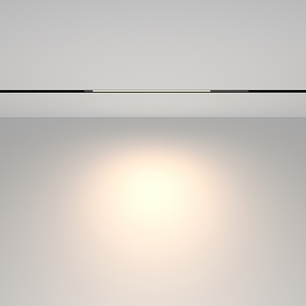 Трековый светильник Basis TR231-2-10W4K-B