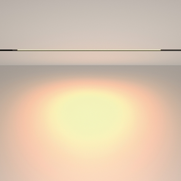 Трековый светильник Basis TR231-2-15W3K-B