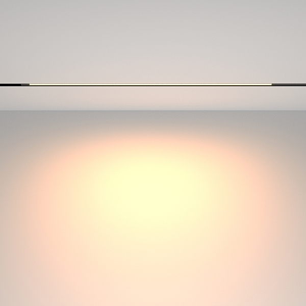 Трековый светильник Basis TR231-2-15W3K-B