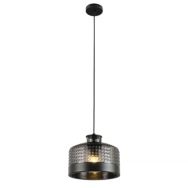 Светильник подвесной Edwin MR2484-1P