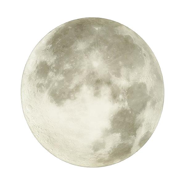 Настенно потолочный светильник Moon 3084/DLN
