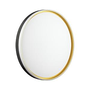 Настенно потолочный светильник Savi 7619/ELN