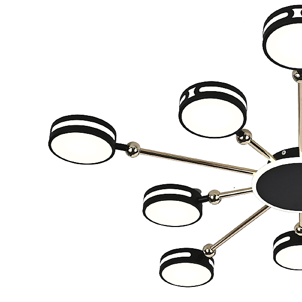Потолочная люстра Leda 10206/10LED BL
