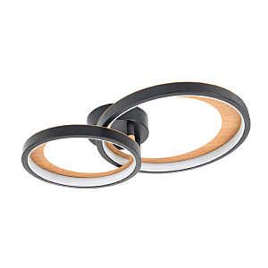 Потолочная люстра Callisto 10265/2LED