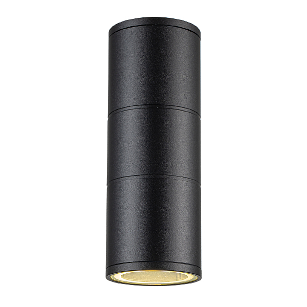 Уличный настенный светильник Biotit 30015W/02 Black
