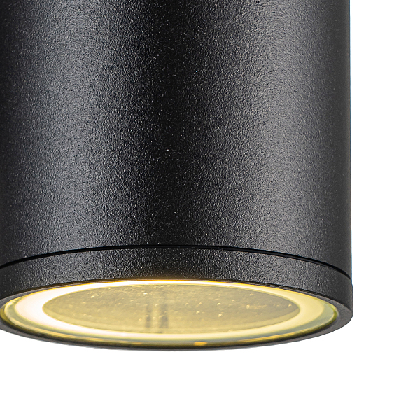Уличный настенный светильник Biotit 30015W/02 Black